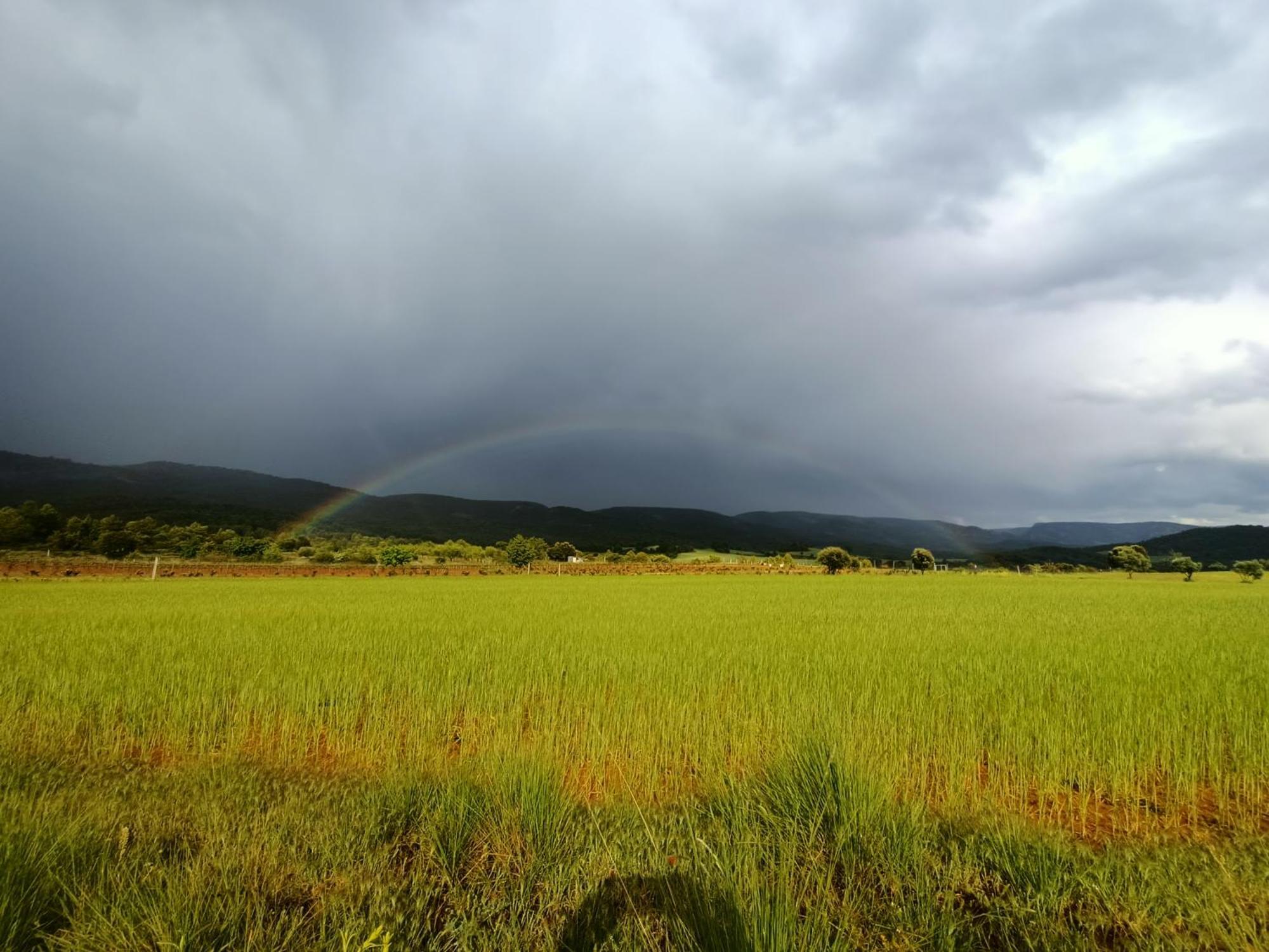 Alojamiento Rural El Cerro Fresneda de la Sierra 外观 照片