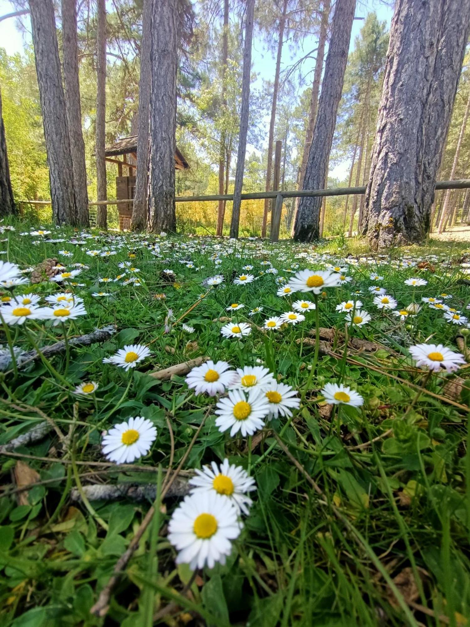 Alojamiento Rural El Cerro Fresneda de la Sierra 外观 照片