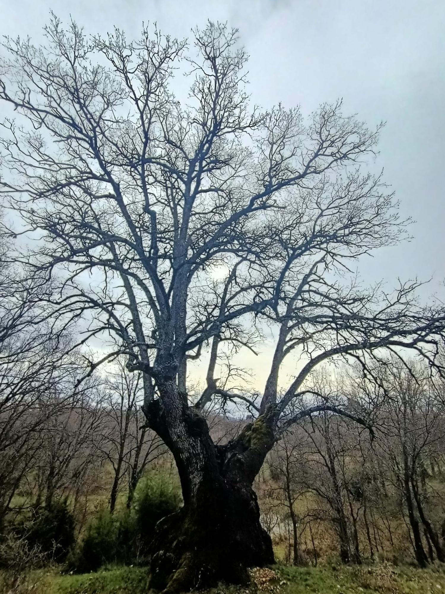 Alojamiento Rural El Cerro Fresneda de la Sierra 外观 照片
