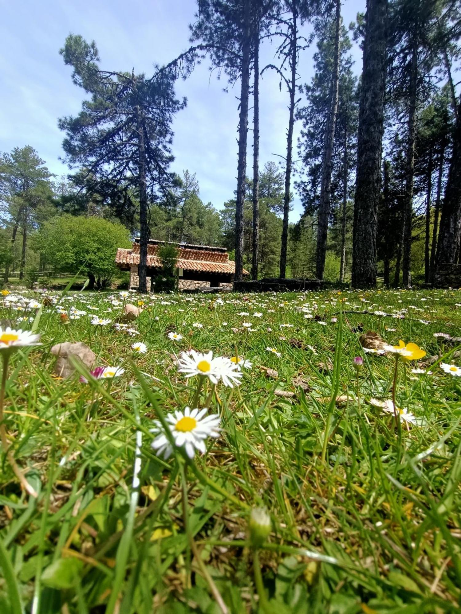 Alojamiento Rural El Cerro Fresneda de la Sierra 外观 照片